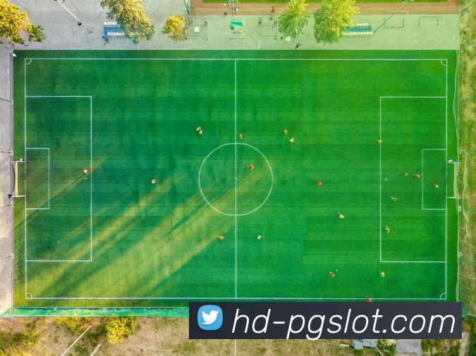 赏金女王PG官网发展历程